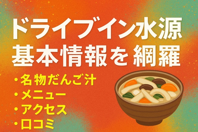 dumpling-soup-drivein