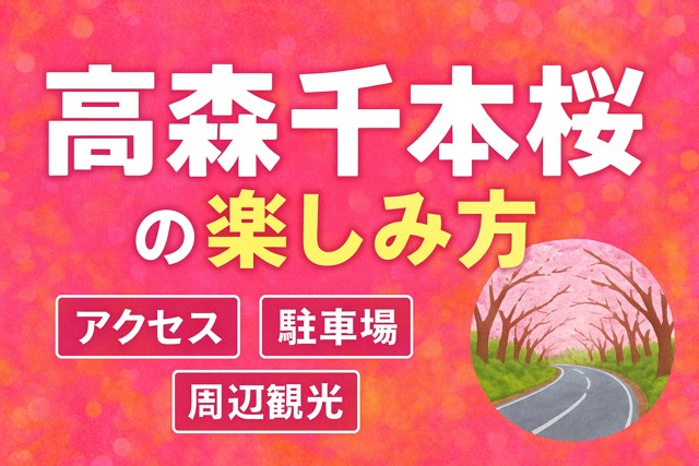 Takamori cherry blossom guide