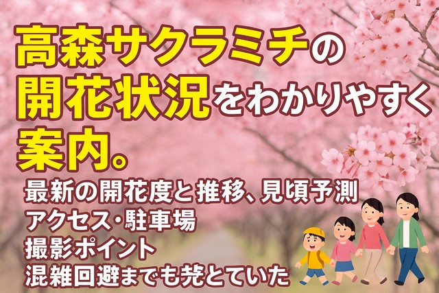 takamori-sakura-bloom